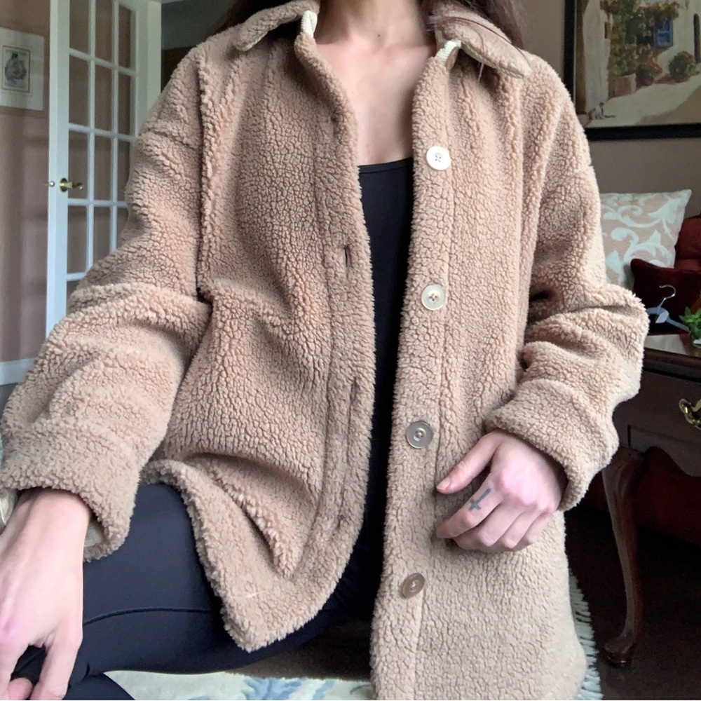 NWOT PGD Teddy Shacket